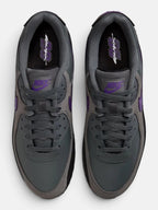 Кросівки чоловічі Nike Air Max 90 Iron Grey/Black/White/Wild Grape IF0670-004