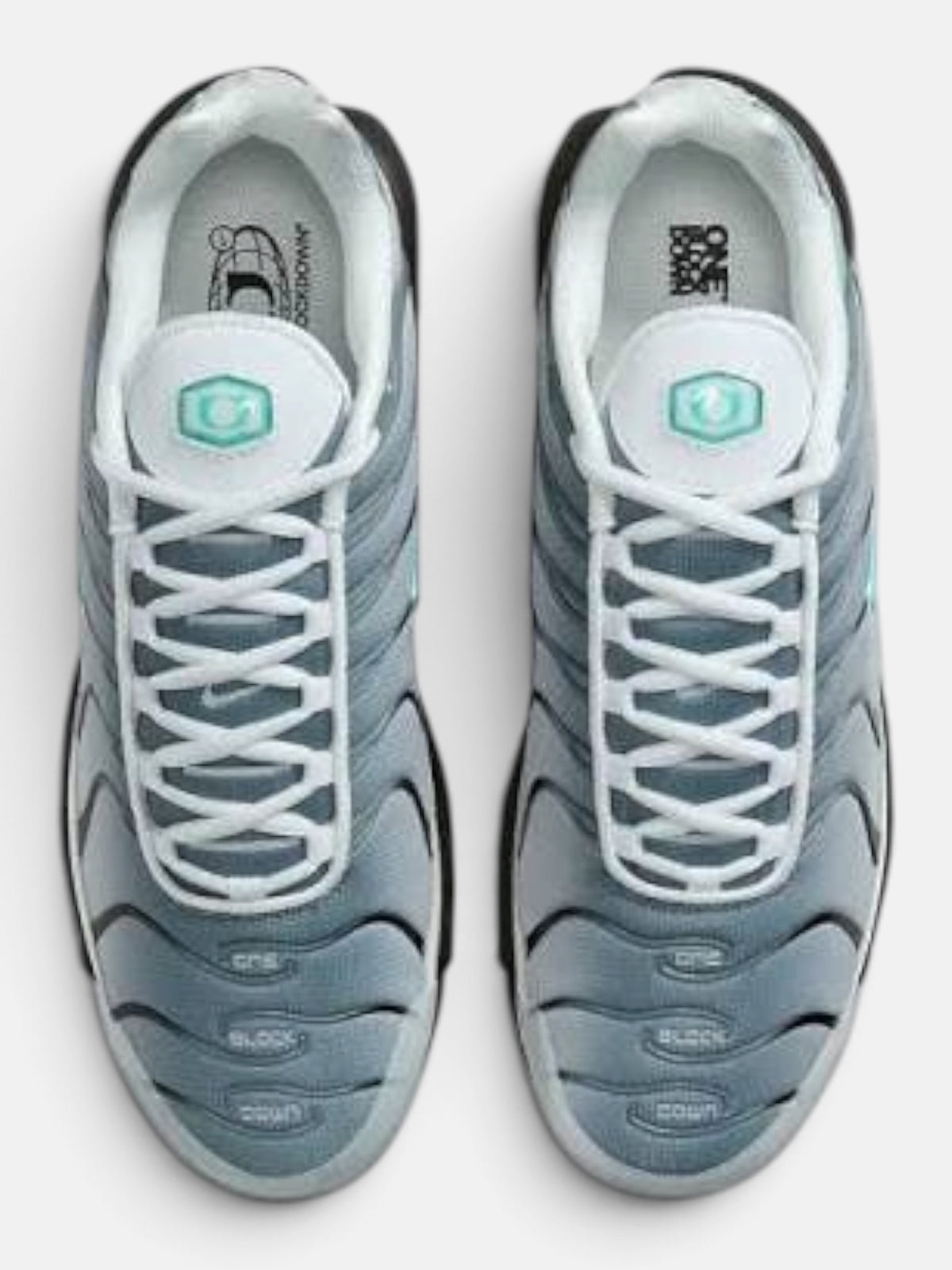 Чоловічі кросівки Nike Air Max Plus Grey / Turquoise FZ3308-001