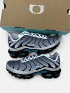 Чоловічі кросівки Nike Air Max Plus Grey / Turquoise FZ3308-001