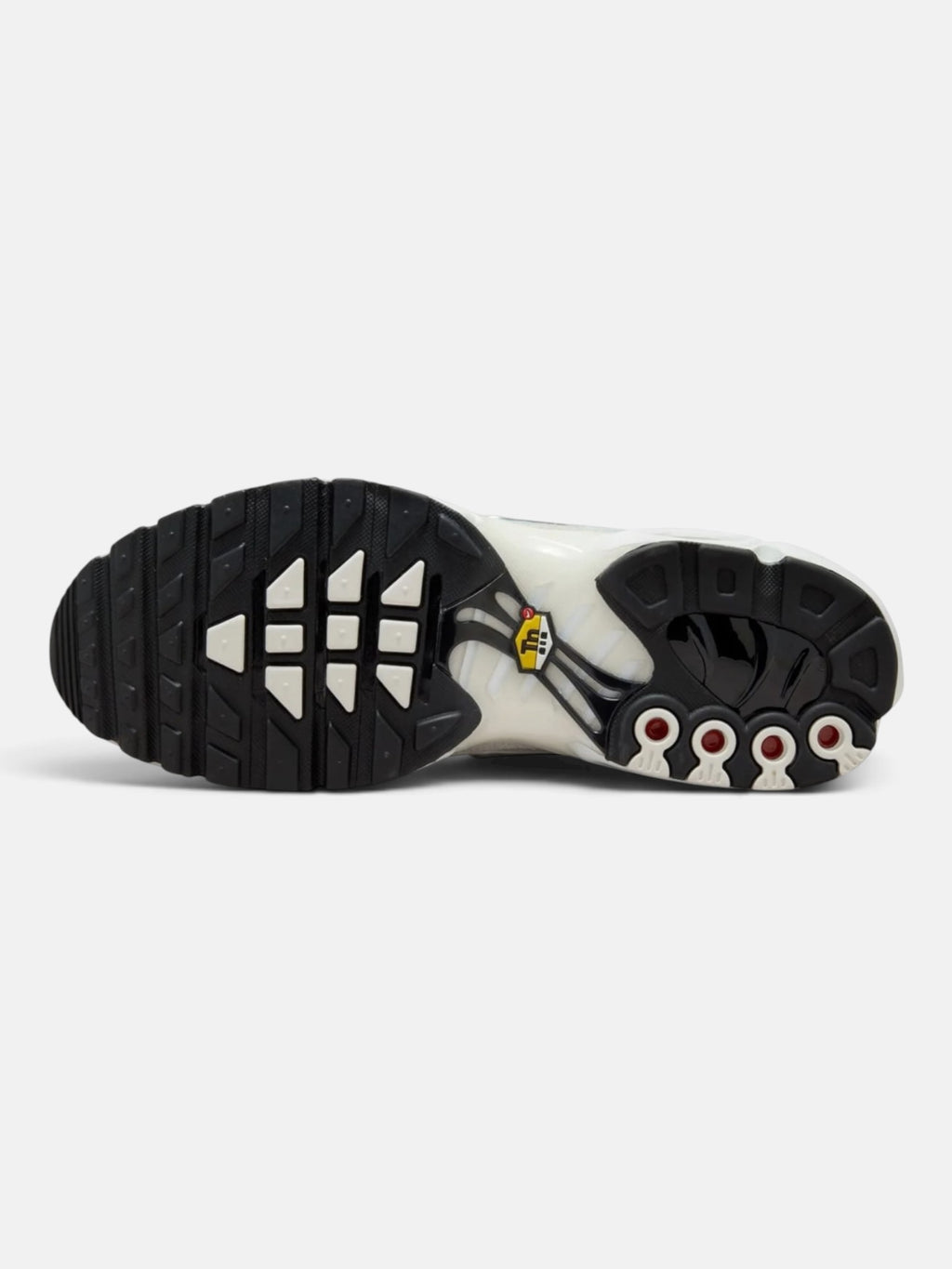 Чоловічі кросівки Nike Air Max Plus White / Light Blue FN7813-001