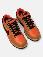 Чоловічі кросівки Nike Dunk Low Gore-Tex Brown / Orange HQ2053-700