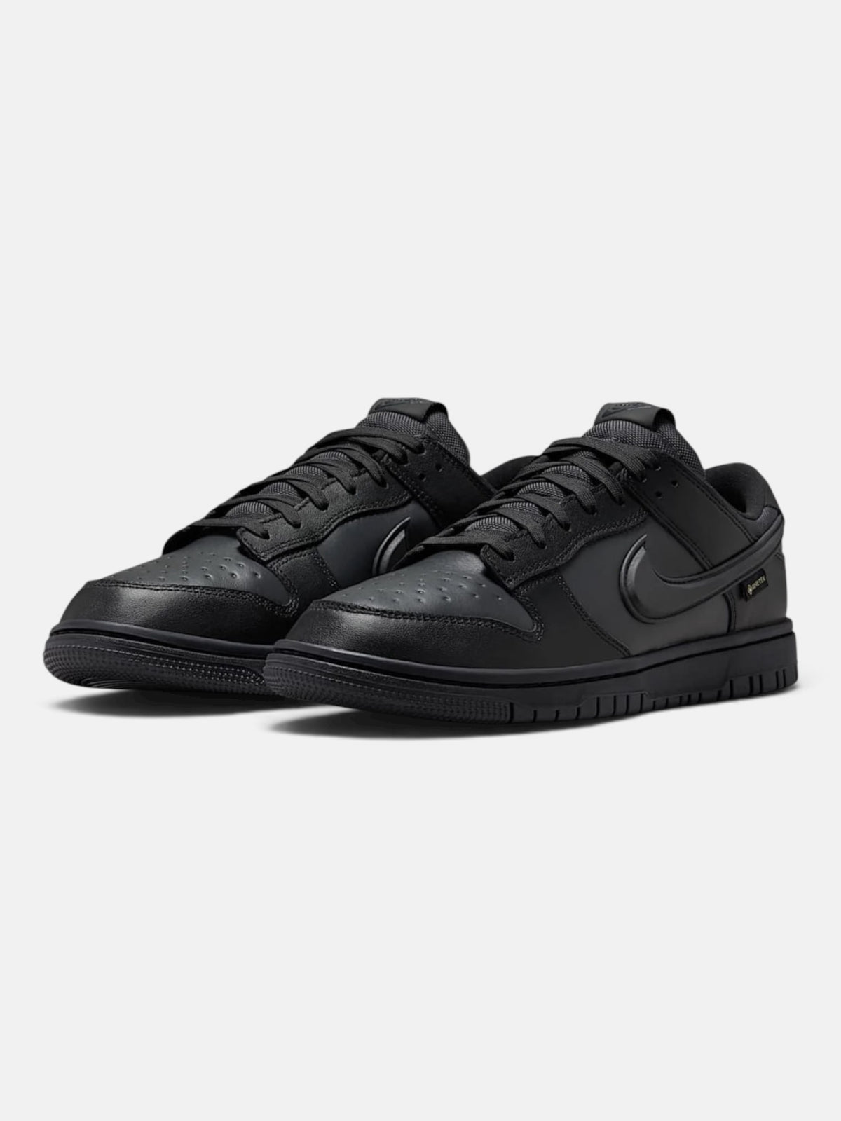 Чоловічі кросівки Nike Dunk Low GORE-TEX Black HQ2053-001
