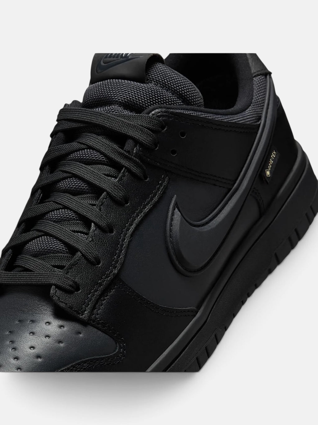Чоловічі кросівки Nike Dunk Low GORE-TEX Black HQ2053-001
