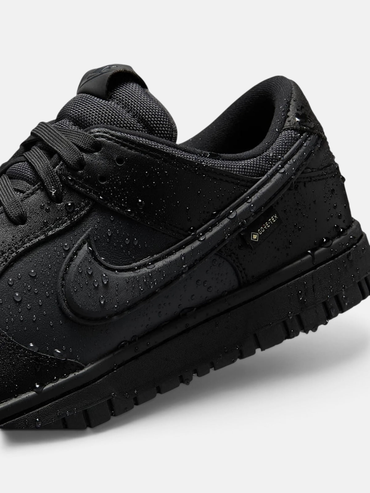 Чоловічі кросівки Nike Dunk Low GORE-TEX Black HQ2053-001