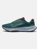 Чоловічі кросівки Nike Juniper Trail 2 GORE-TEX Turquoise FB2067-300