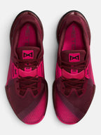 Чоловічі кросівки Nike Metcon 10 Bordeaux / Pink HJ1875-600