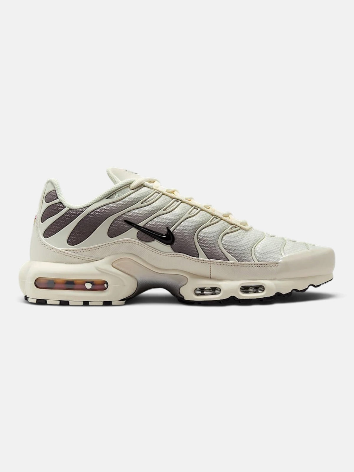 Чоловічі кросівки Nike Air Max Plus Beige / Brown DM0032-106