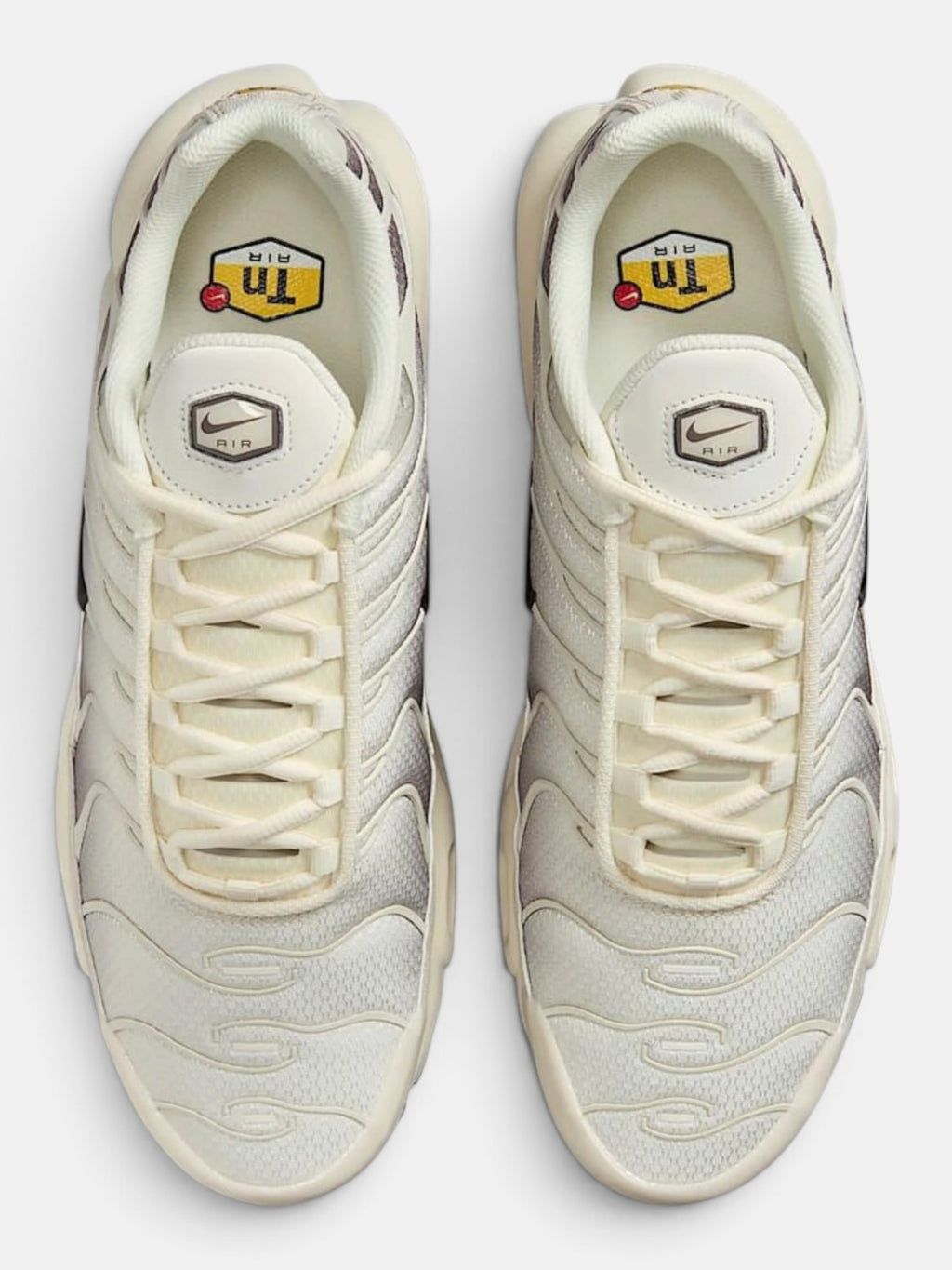 Чоловічі кросівки Nike Air Max Plus Beige / Brown DM0032-106