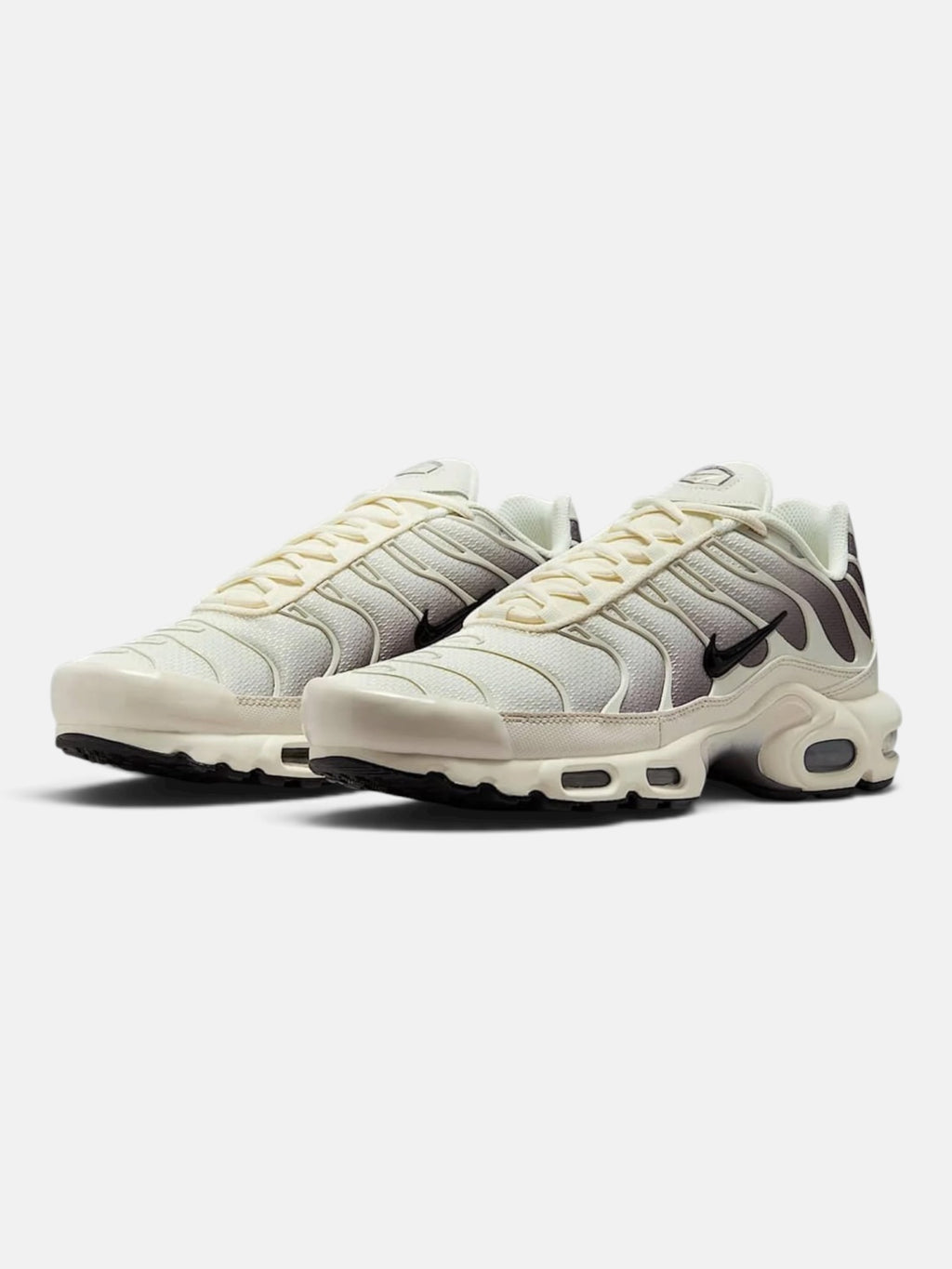 Чоловічі кросівки Nike Air Max Plus Beige / Brown DM0032-106