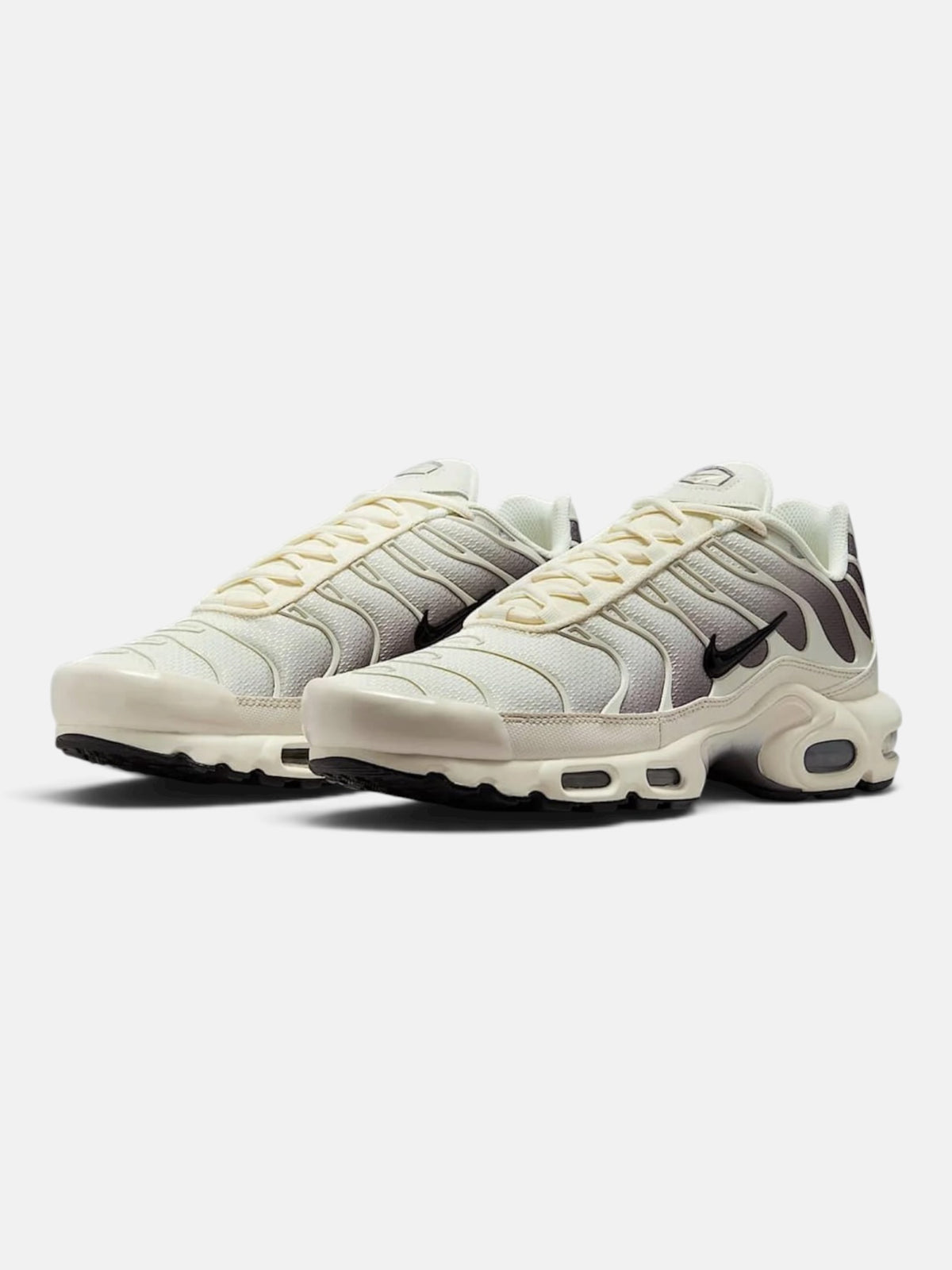 Чоловічі кросівки Nike Air Max Plus Beige / Brown DM0032-106