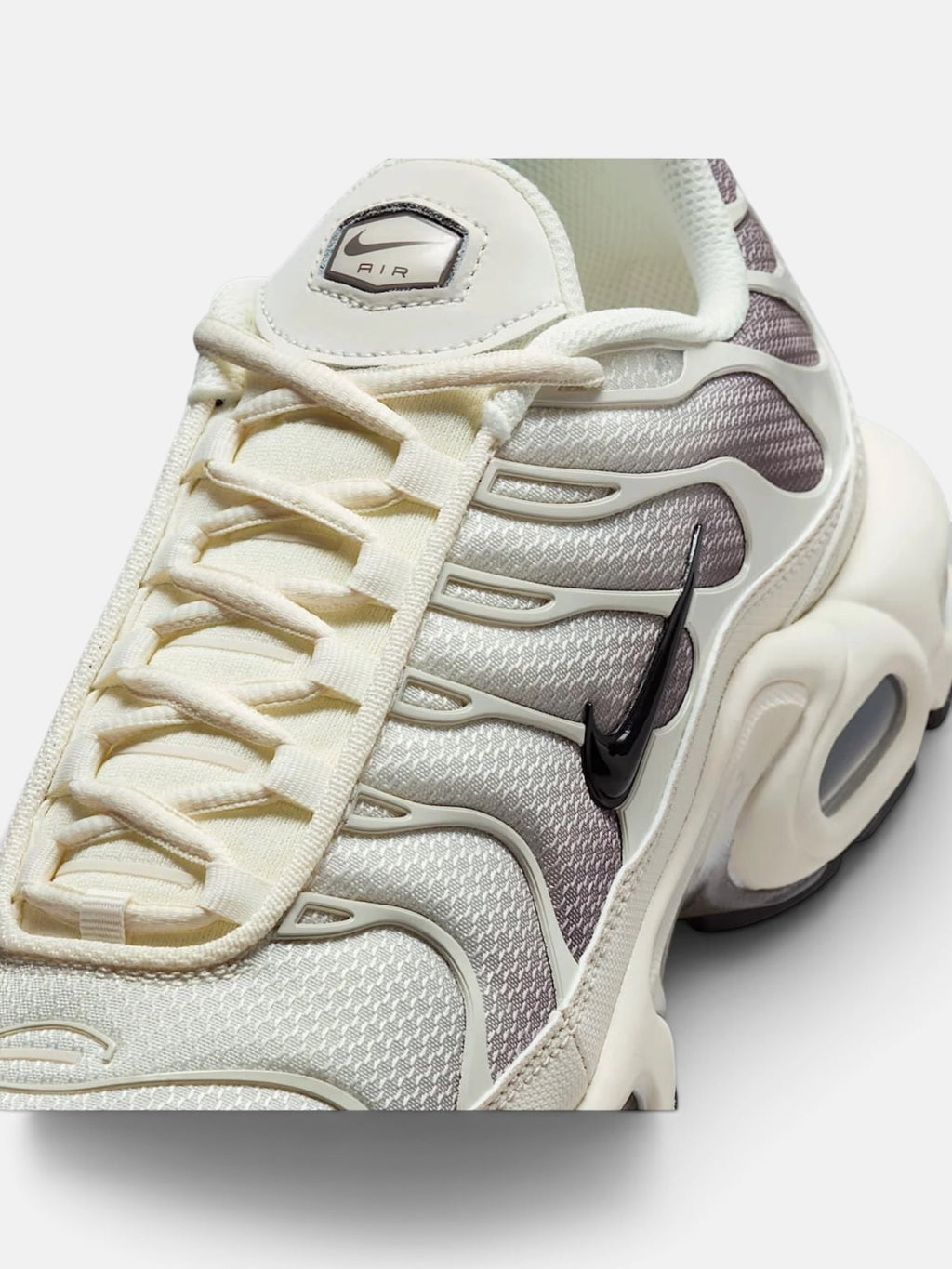 Чоловічі кросівки Nike Air Max Plus Beige / Brown DM0032-106