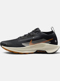 Чоловічі кросівки Nike Pegasus Trail 5 Gore-Tex Black / Brown FQ0908-007