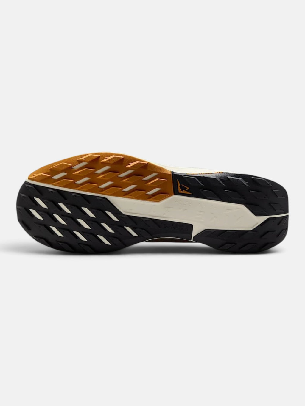 Чоловічі кросівки Nike Pegasus Trail 5 Gore-Tex Black / Brown FQ0908-007