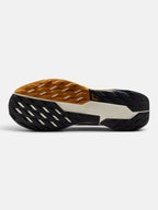 Чоловічі кросівки Nike Pegasus Trail 5 Gore-Tex Black / Brown FQ0908-007