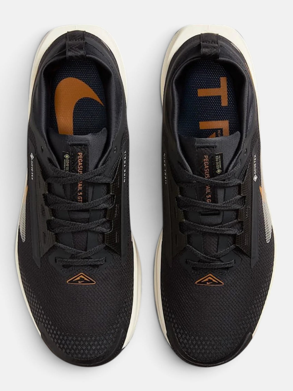 Чоловічі кросівки Nike Pegasus Trail 5 Gore-Tex Black / Brown FQ0908-007