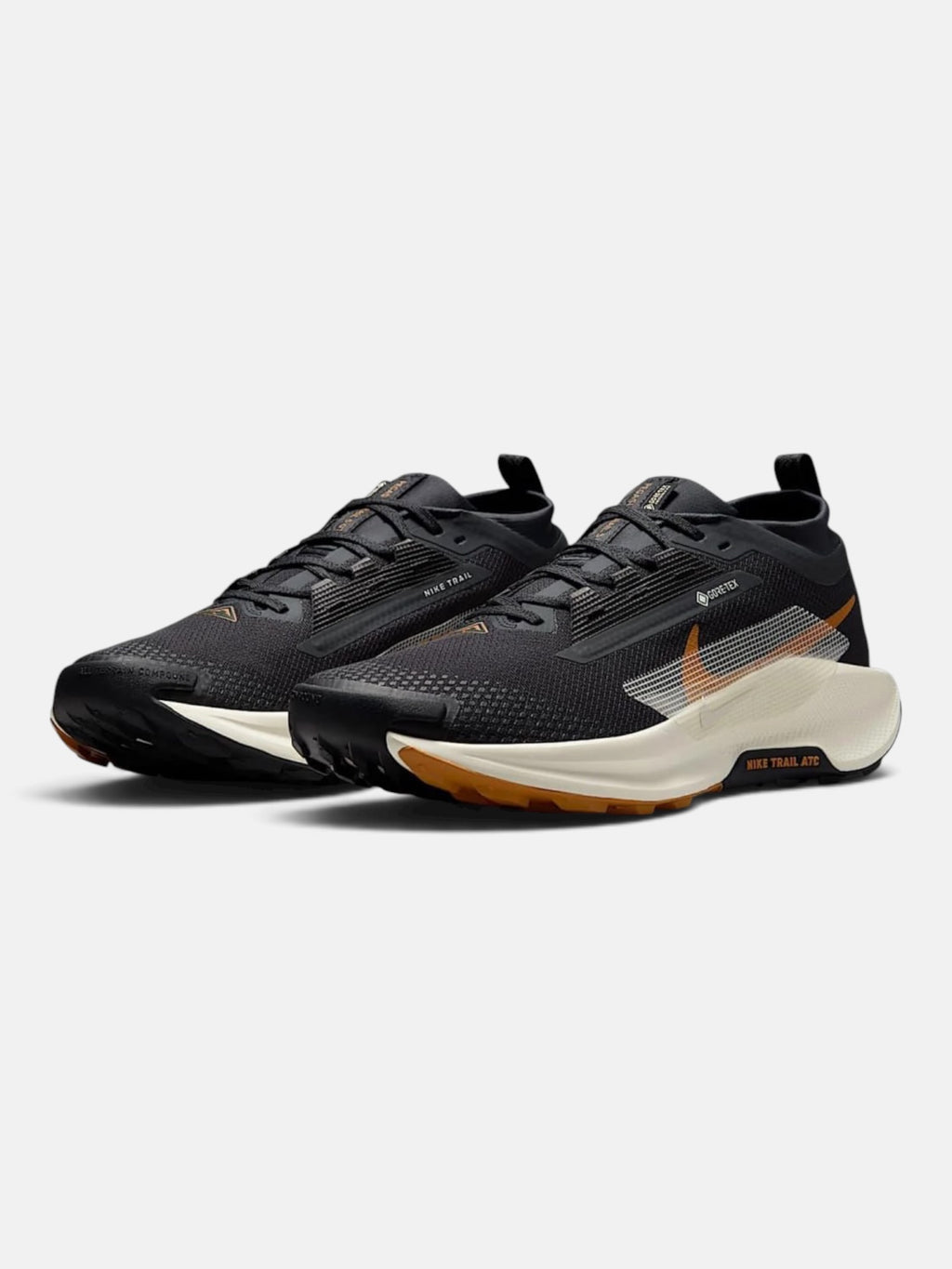 Чоловічі кросівки Nike Pegasus Trail 5 Gore-Tex Black / Brown FQ0908-007