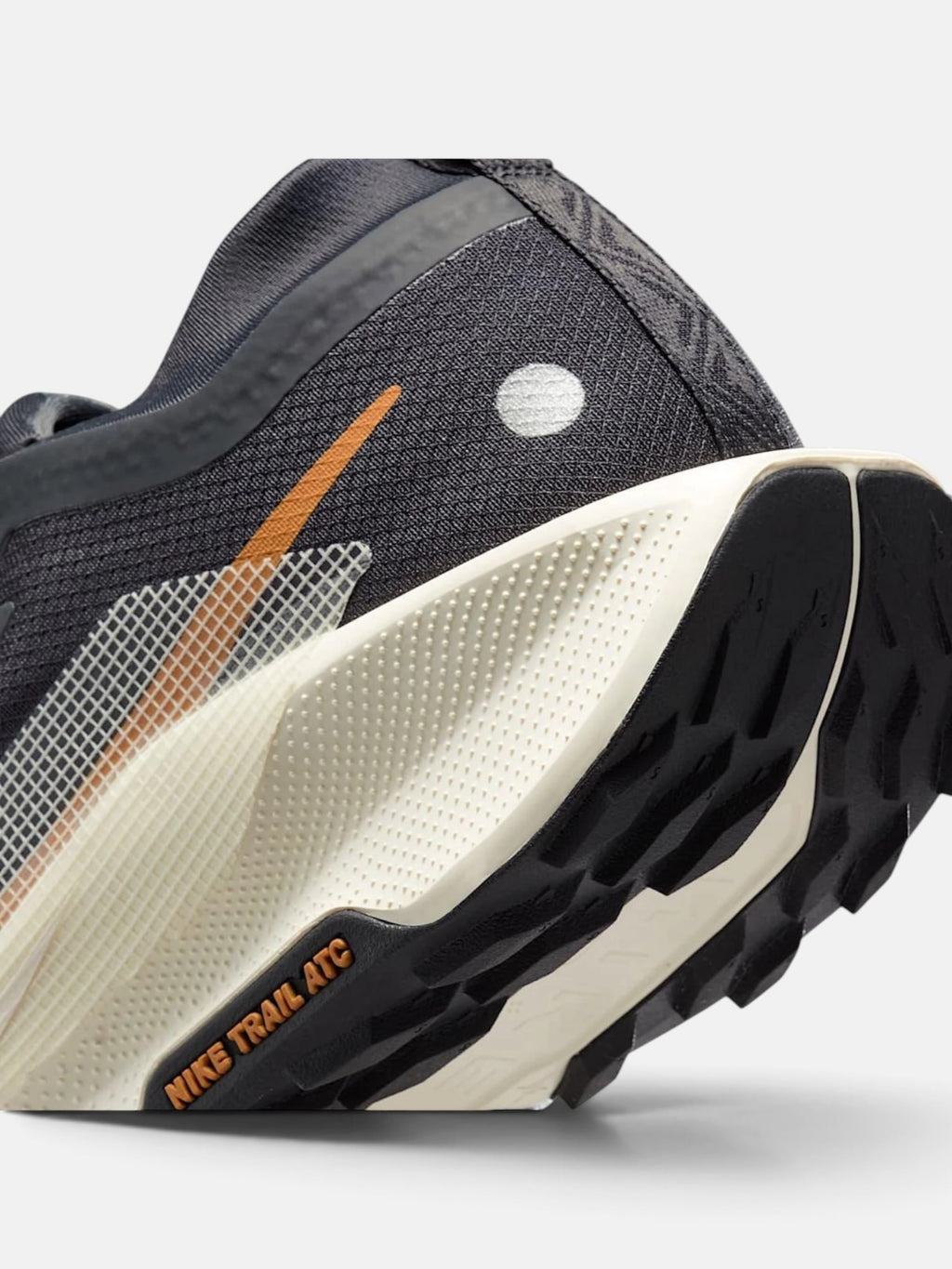 Чоловічі кросівки Nike Pegasus Trail 5 Gore-Tex Black / Brown FQ0908-007