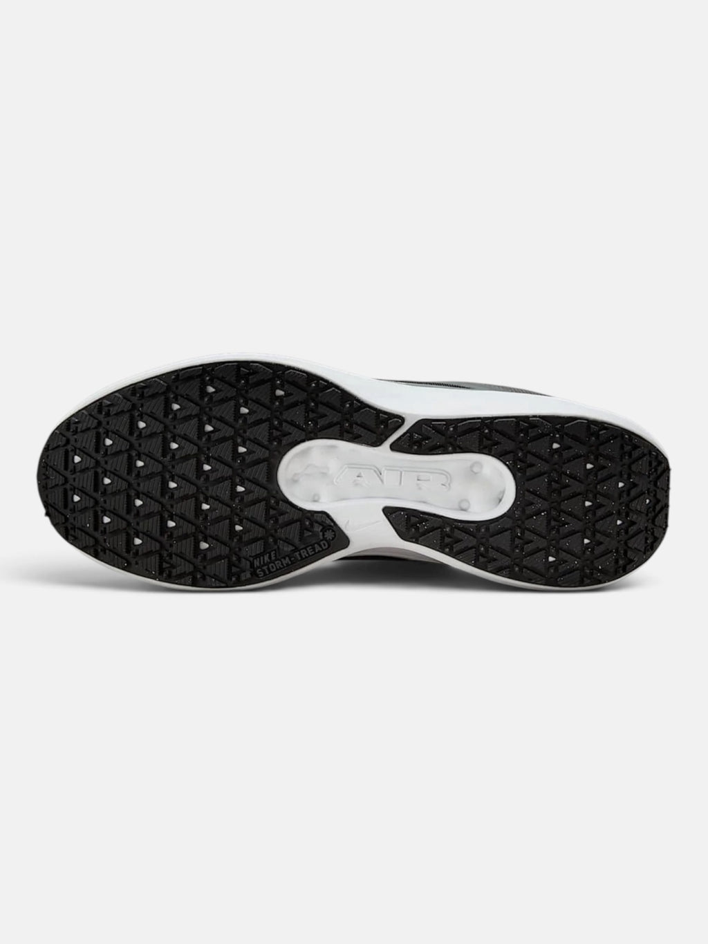 Чоловічі кросівки Nike Winflo 11 Gore-Tex White / Black FQ1358-004