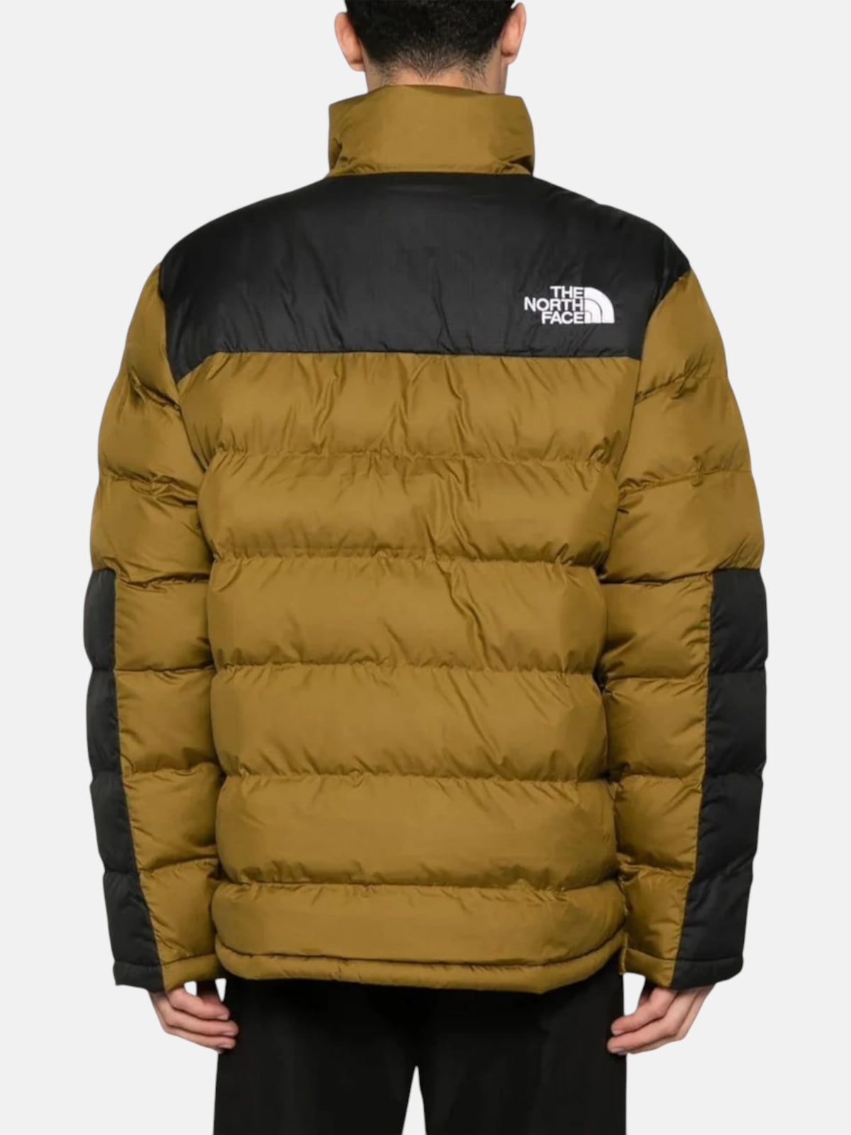 Чоловіча куртка The North Face Limbara Brown/Black NF0A89EG1OB