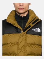 Чоловіча куртка The North Face Limbara Brown/Black NF0A89EG1OB