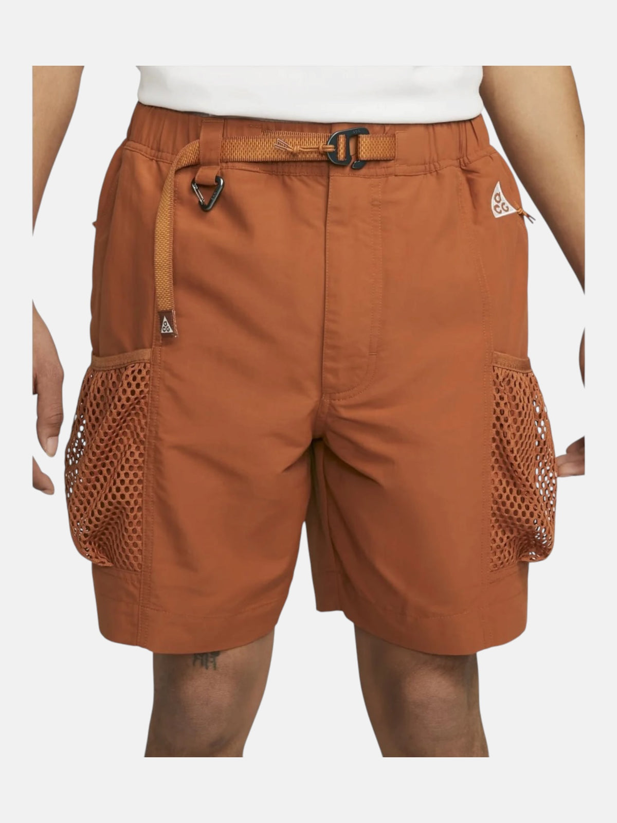 Чоловічі шорти Nike ACG Snowgrass Cargo Shorts Orange DV9405-246