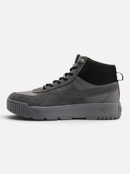 Чоловічі кросівки Puma Tarrenz SB Grey 370551-03