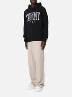 Чоловіче худі Tommy Jeans Regular Camo Black DM0DM17810-BDS