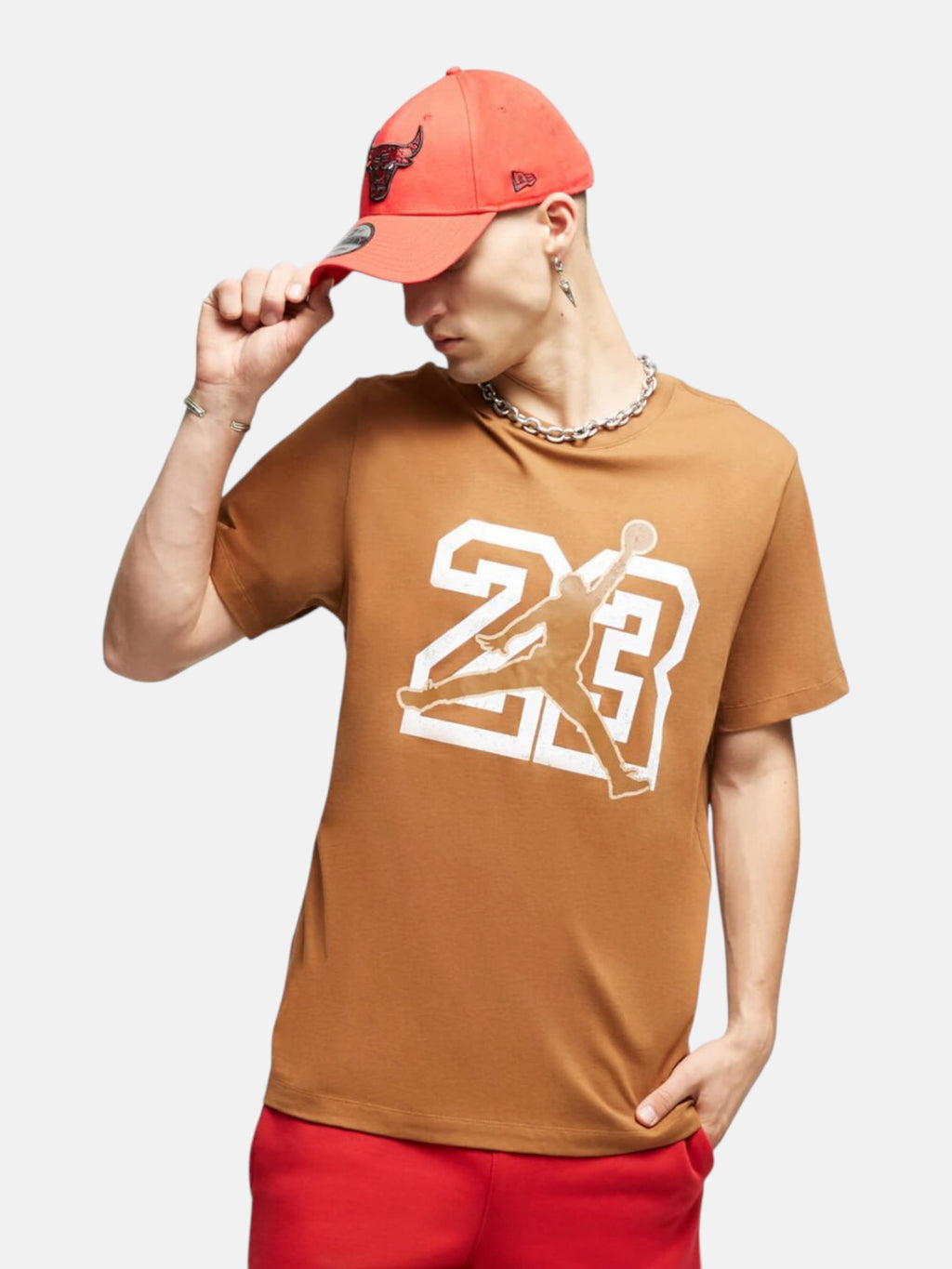 Чоловіча футболка Air Jordan 23 Brown FB7394-281